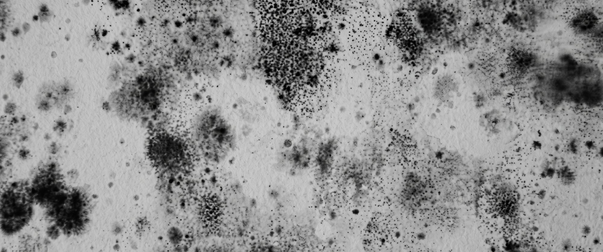 mold, mold-infested
