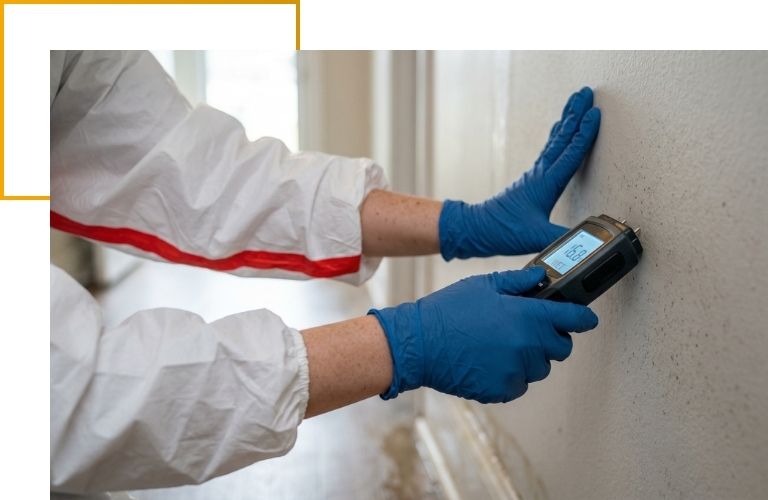 Close-up of a technician's gloved hands using a digital moisture meter to detect hidden water behind residential drywall.