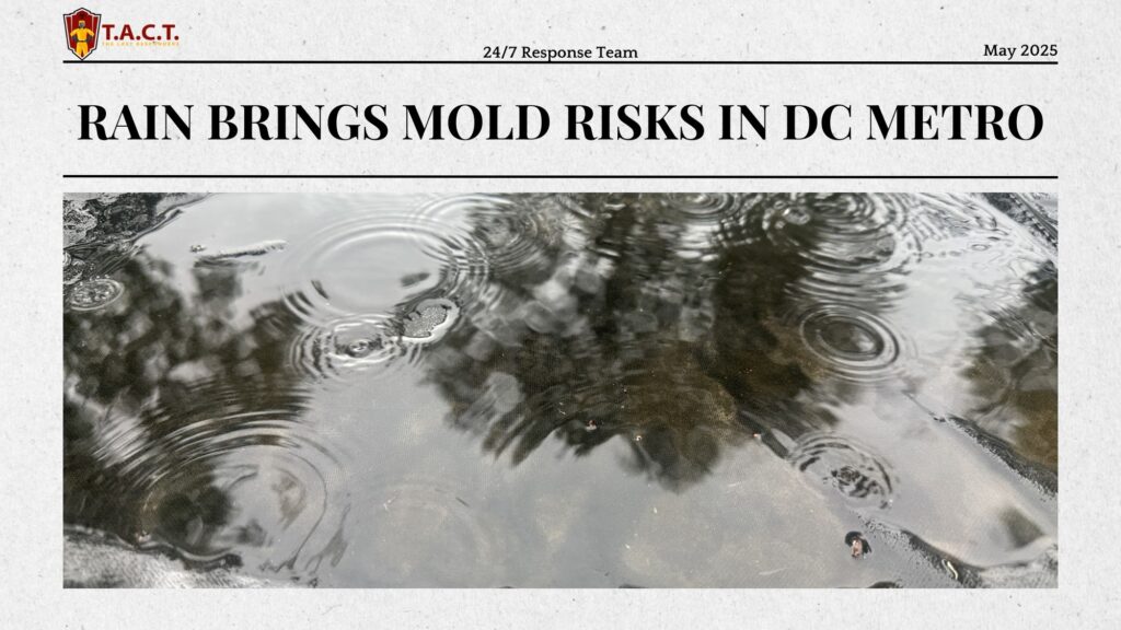 newspaper look banner rain brings mold DC Metro