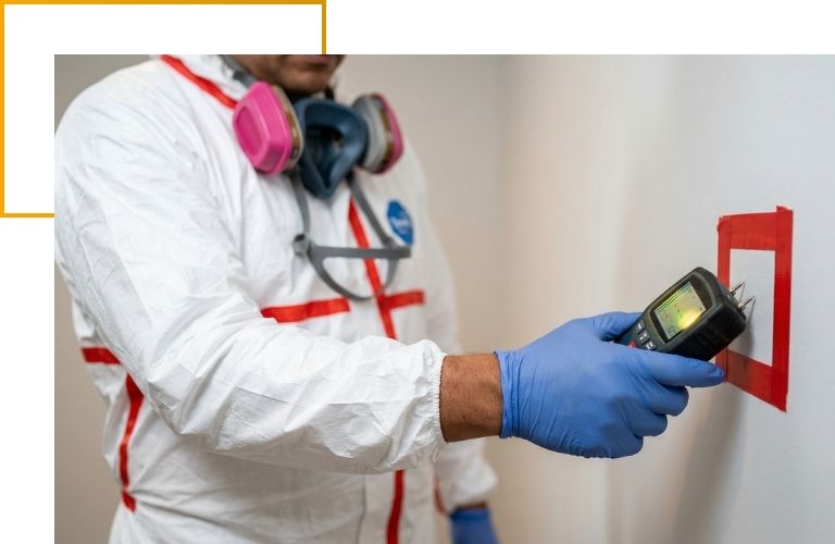 Close-up of a technician using a digital detection meter on a wall to verify the complete removal of odor-causing moisture and bacteria.