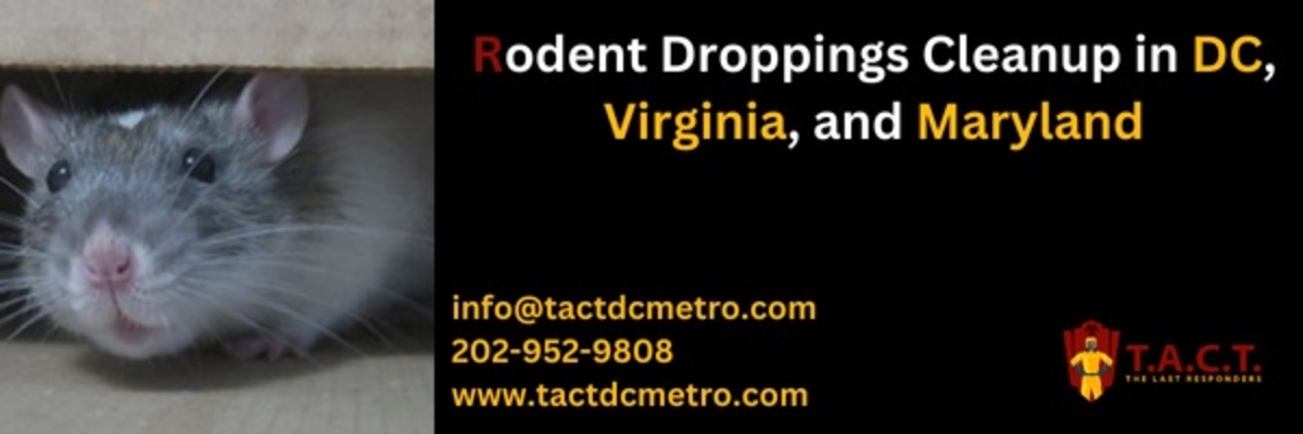 mouse mice, rat problem, droppings