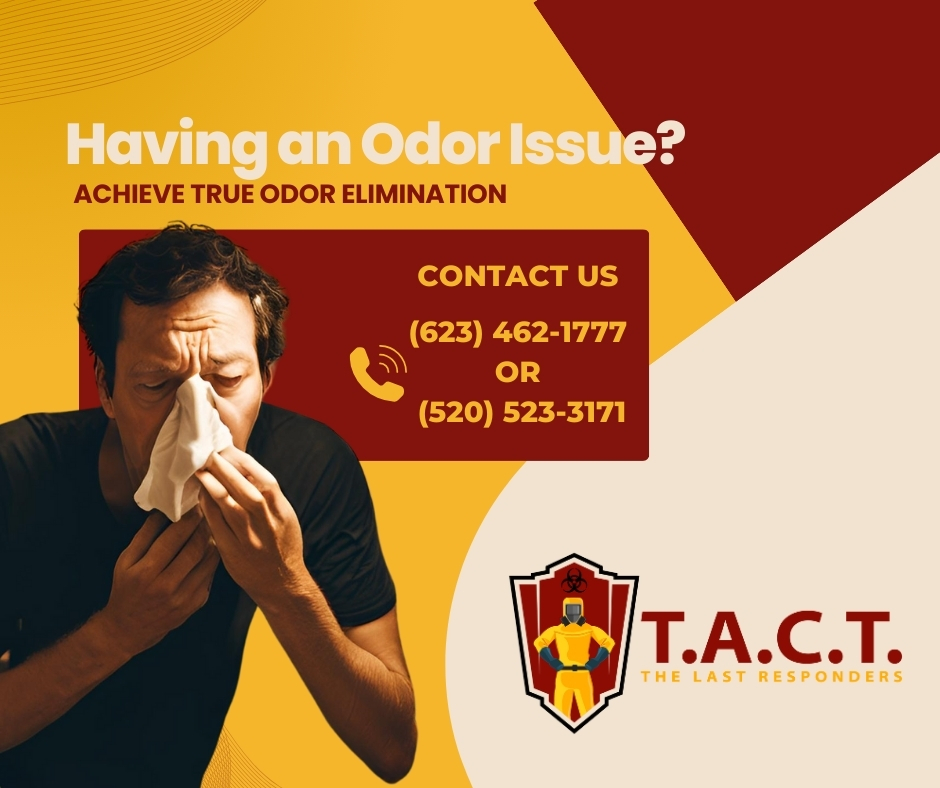 odor issue elimination AZ