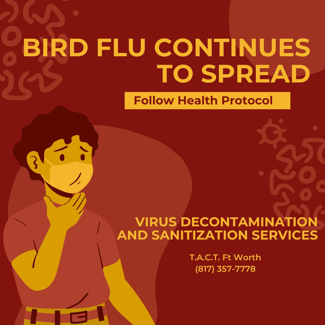 health protocol bird flu is spreading virus decontamination and sanitization ft worth